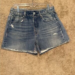 Rag & Bone Miramar Walking Shorts